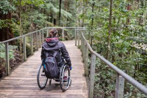 Walking in the bush, easy peasy!