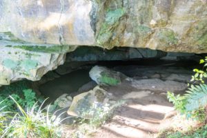Waipu’s cave entrance.