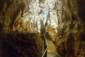 It’s amazing to stroll in a wheelchair in a cave!
