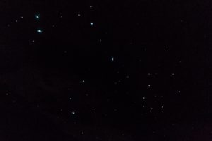 Glowworms.