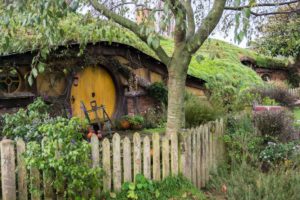 Entrée réservée aux pieds poilus !