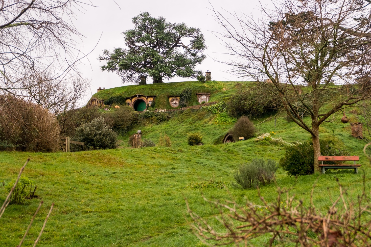 hobbit garden in Hobbiton