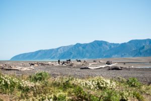 Perfect surroundings for a picnic!