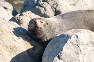 What are you staring at?