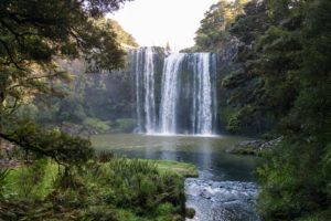 Les Whangharei Falls.
