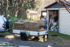 Working in a farm.
