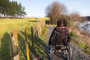 On the Waikato River Trail.