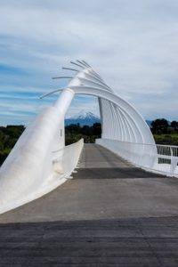 Te Rewa Rewa Bridge