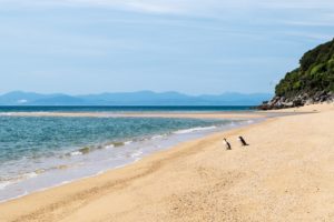 Tous seuls... ou presque !