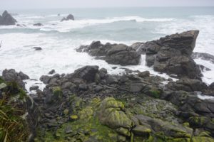 There are a few of them sleeping or playing in those rocks. 