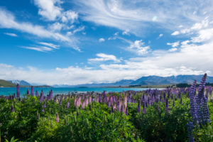 A real colours’ symphony.