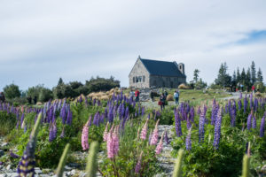 We almost could believe that this picture was taken in Brittany, my homeland.