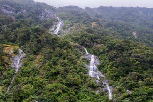 Comme quoi la nature sait s'adapter.