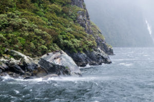 Petite sieste sous la pluie, tranquilles.