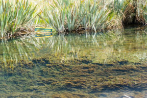 L'effet miroir est bien mis en scène.