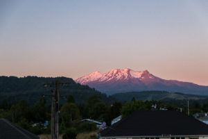 A last look before the sun is gone.