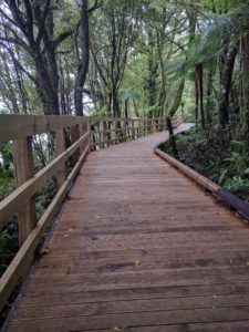 Le chemin entre le parking et le terminal.