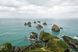 Where is the chicken?