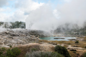 Geyser au village Whakarewarewa.