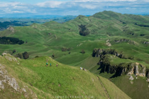 The view from Te Mata Peak.