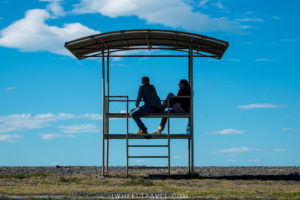 In front of the sea, protected from pilfering seagull.