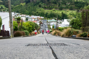 From the top of the street.