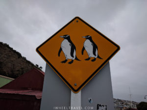 Be careful of penguins!