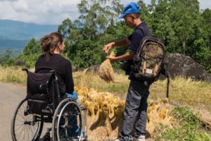 Crash course on rice cultivation.
