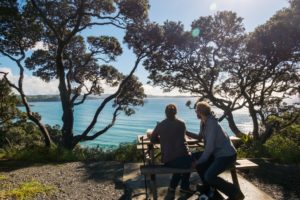 Whales Bay, Northland.