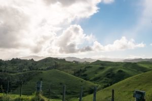 Merry? Pippin? Where are you?