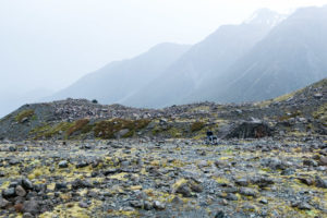A wheelchair can go unnoticed in the middle of this landscape.