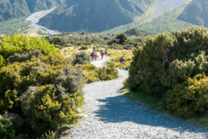 The beginning of the Hooker Valley Track.