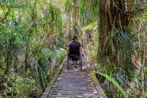 At Kaitoke regional park.