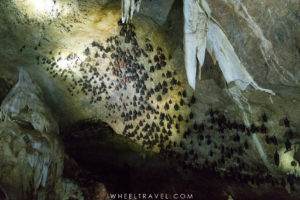 So are they sleeping or not?