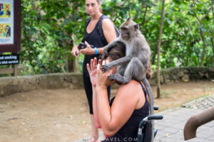 Le terrain de jeu n'a pas de limites !