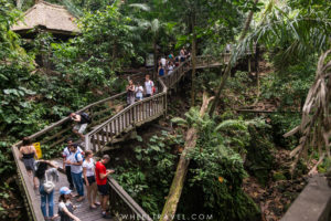 Ubud Monkey Forest, Bali.