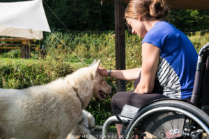 sled dog handicap france