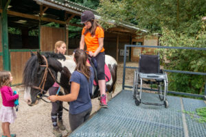 hippotherapy handicap wheelchair