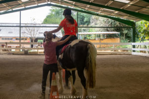 horse riding handicap hippotherapy