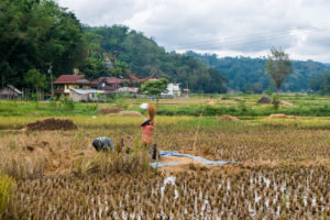 Tana Toraja, Sulawesi.