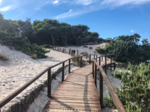 Torre dell'Orso plage accessible fauteuil roulant pouilles