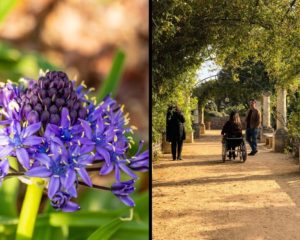 jardin antique méditerannéen fauteuil roulant