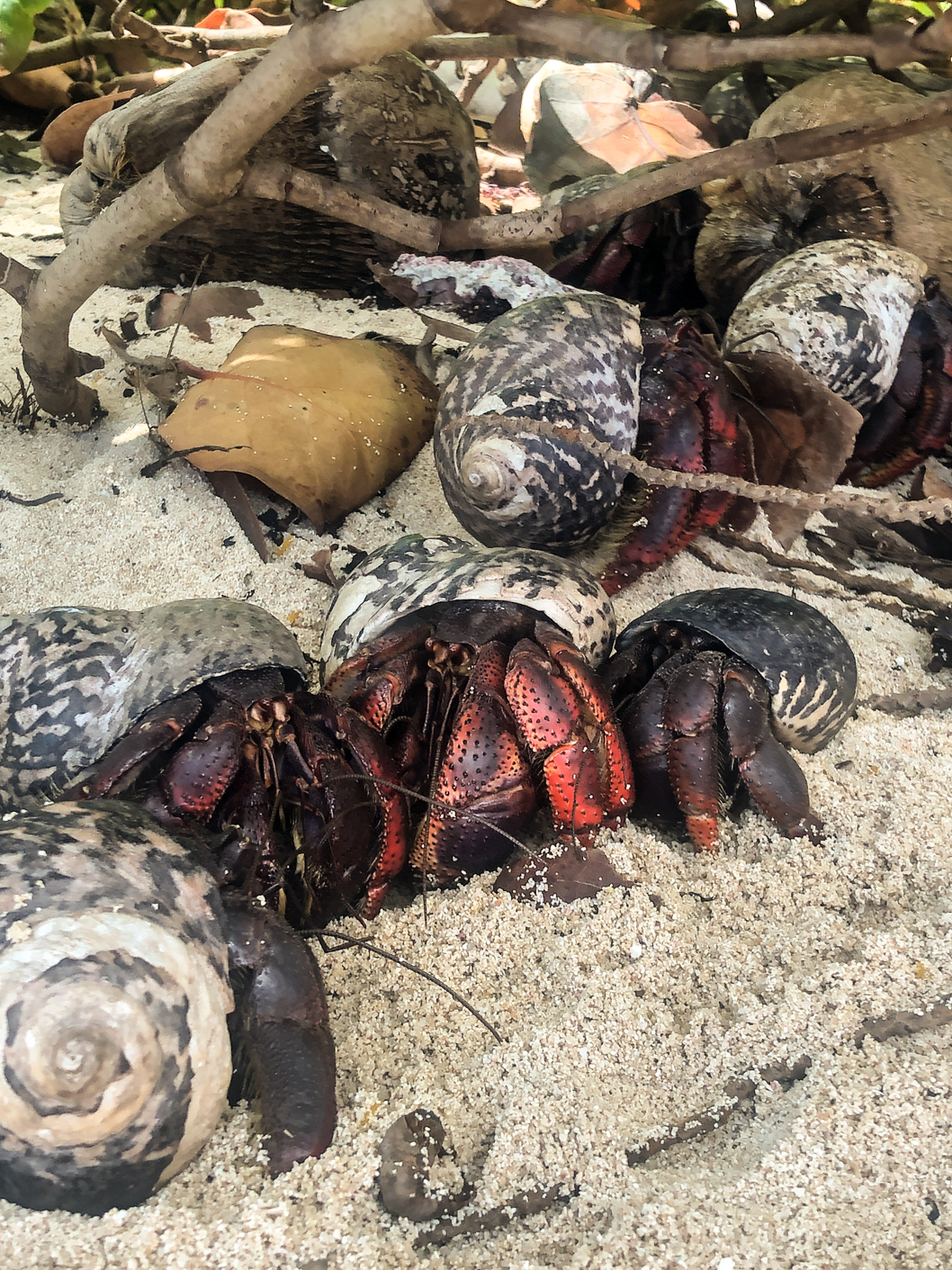 petite terre guadeloupe