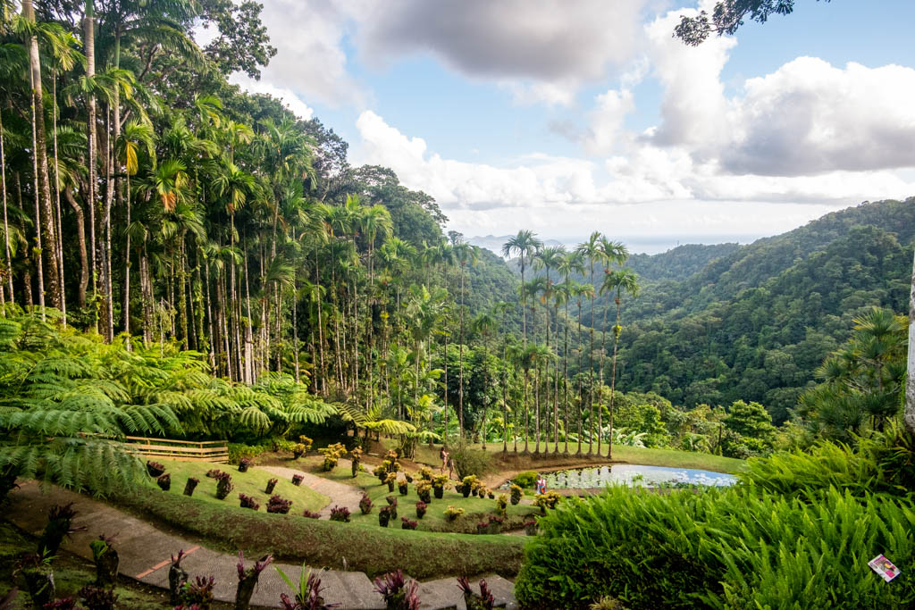 jardin balata martinique