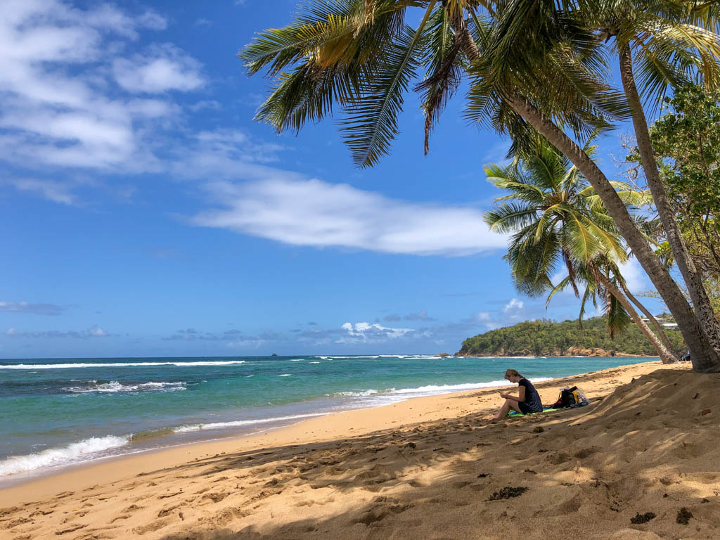 martinique plage de la caravelle